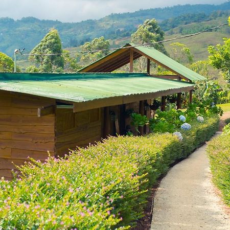 Ecolodge Rain Pedregoso エクステリア 写真