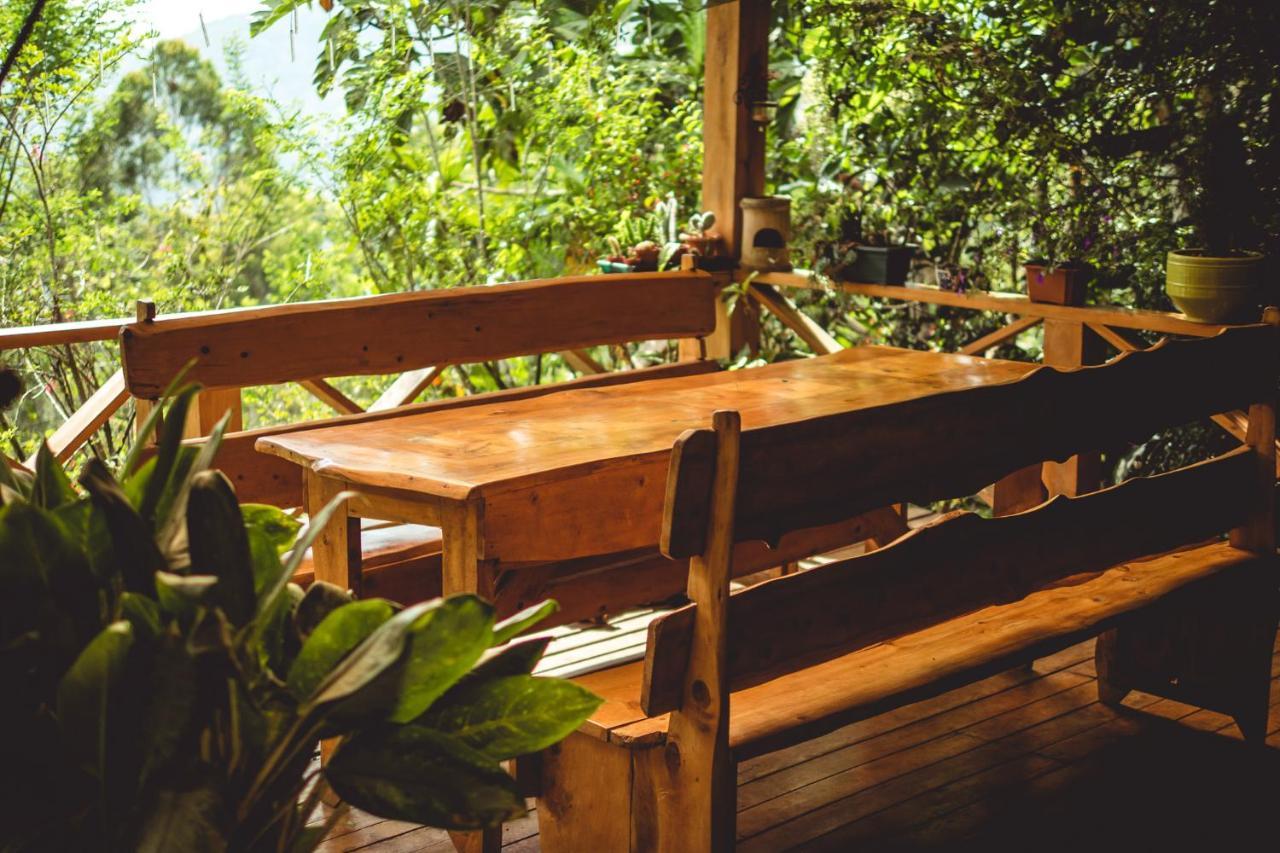 Ecolodge Rain Pedregoso エクステリア 写真
